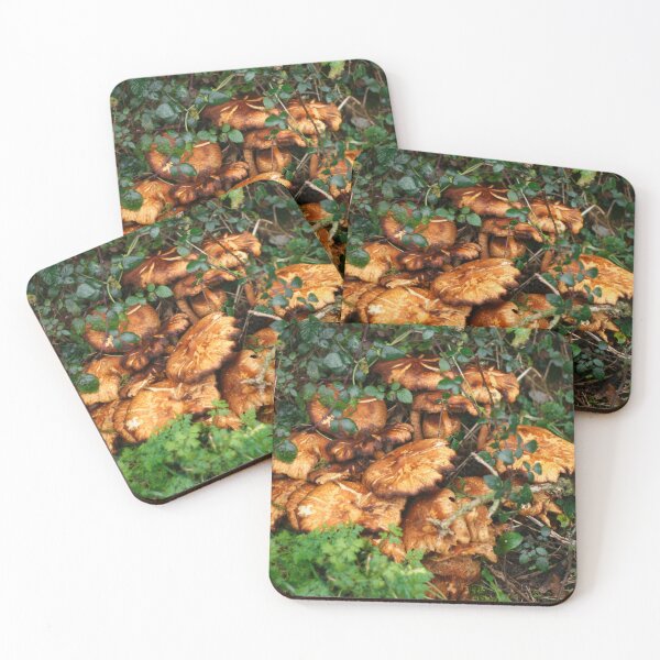 Item preview, Orange Mushrooms designed and sold by puntspics.