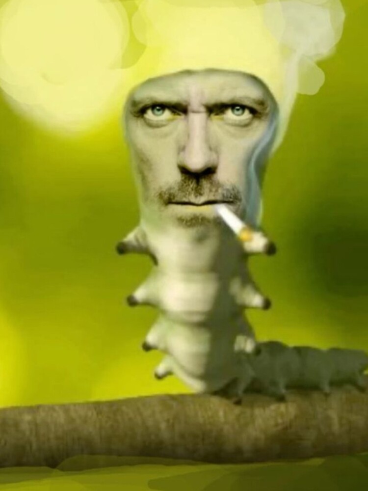 House Caterpillar Meme iPhone Case