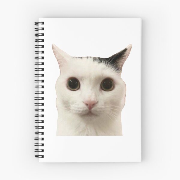 Item preview, MEME Judging Cat - Unimpressed & Disapproving Stare (Collection7-6) designed and sold by MetichaiTH.