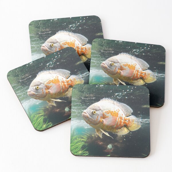 Item preview, Albino Oscar Fish in the water designed and sold by Pravine Chester.