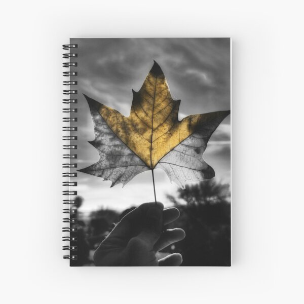 Aperçu de l'œuvre Le passage du temps en automne créée et vendue par Cositas-de-mi.