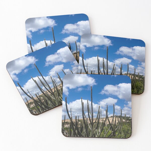 Item preview, many cacti in brazil designed and sold by felipequeiroz.
