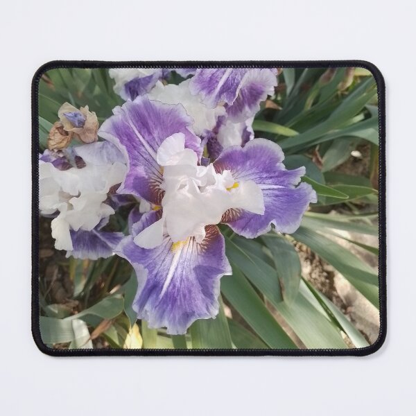 Item preview, Iris designed and sold by shisabella.