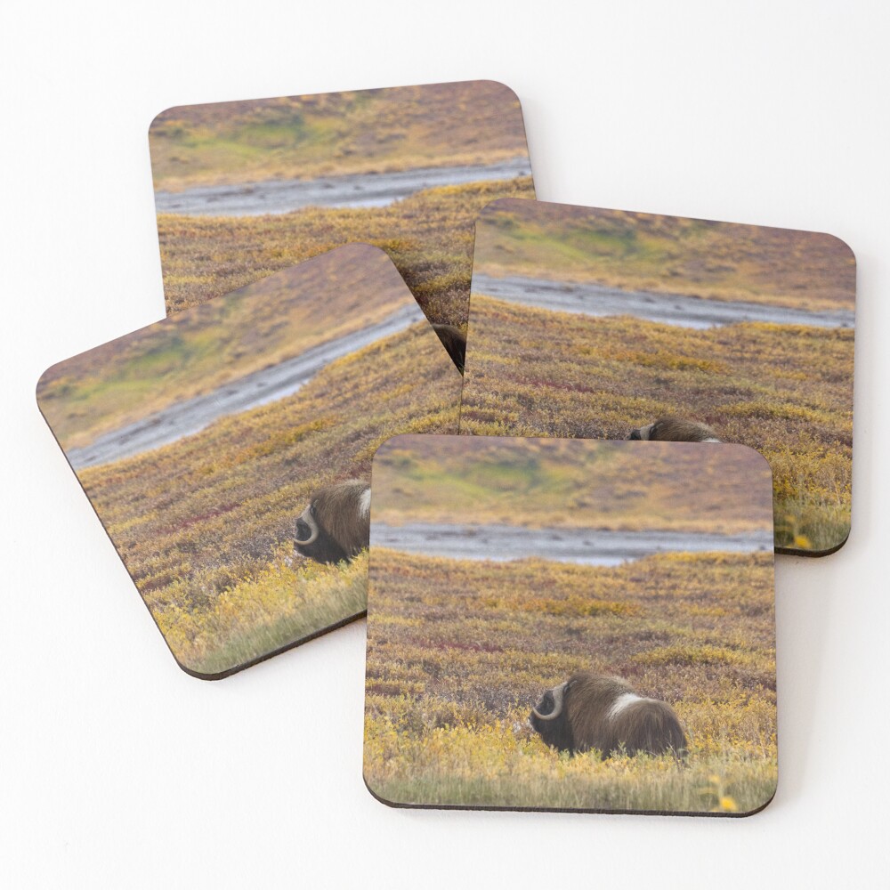 Item preview, Coasters (Set of 4) designed and sold by RScaptor.