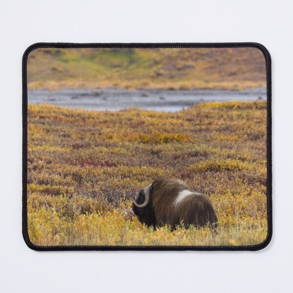 Item preview, The Lone Muskox designed and sold by Ryan Stephens.