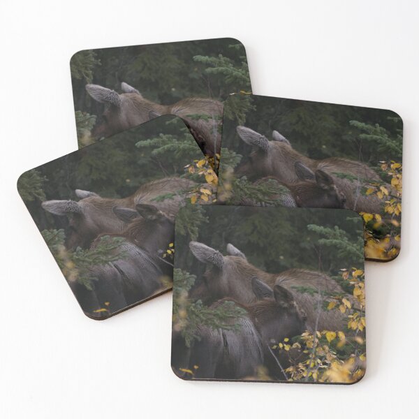 Item preview, Moose Cow and Calf designed and sold by Ryan Stephens.