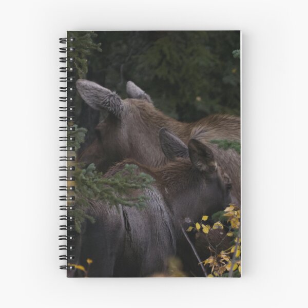 Item preview, Moose Cow and Calf designed and sold by Ryan Stephens.