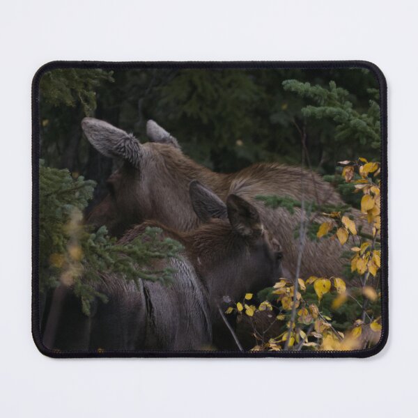 Item preview, Moose Cow and Calf designed and sold by Ryan Stephens.