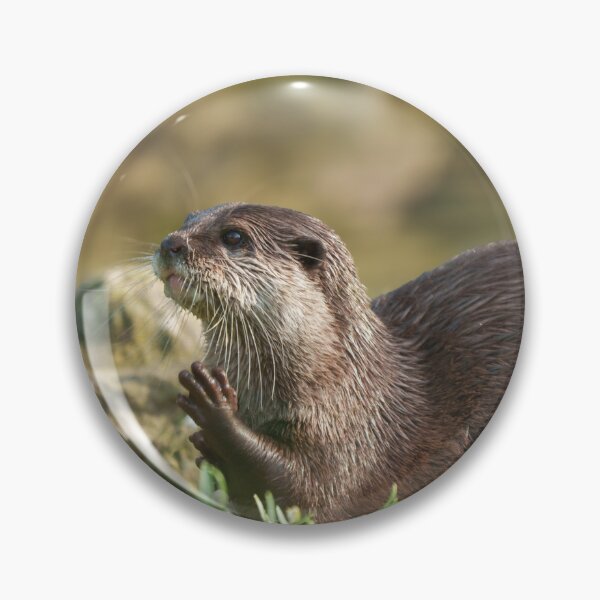 Item preview, Otter Raising Paw designed and sold by rawshutterbug.