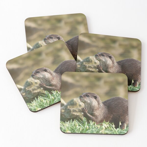 Item preview, Otter Raising Paw designed and sold by rawshutterbug.