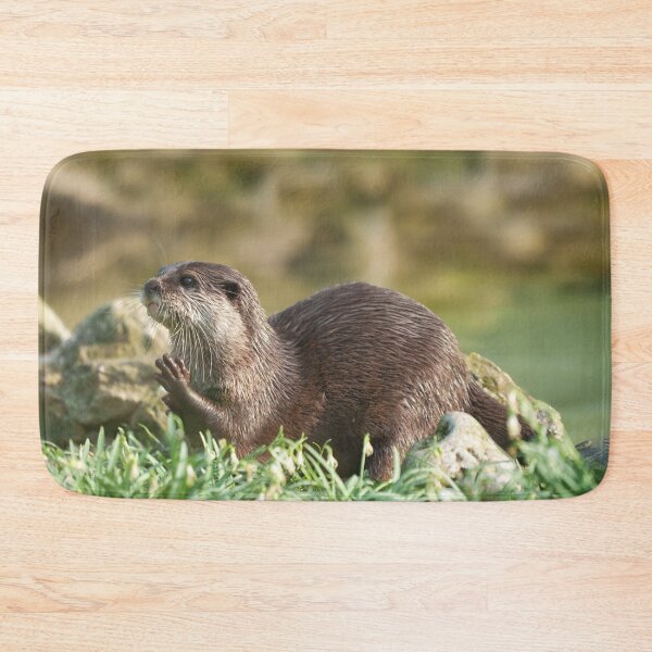 Item preview, Otter Raising Paw designed and sold by rawshutterbug.