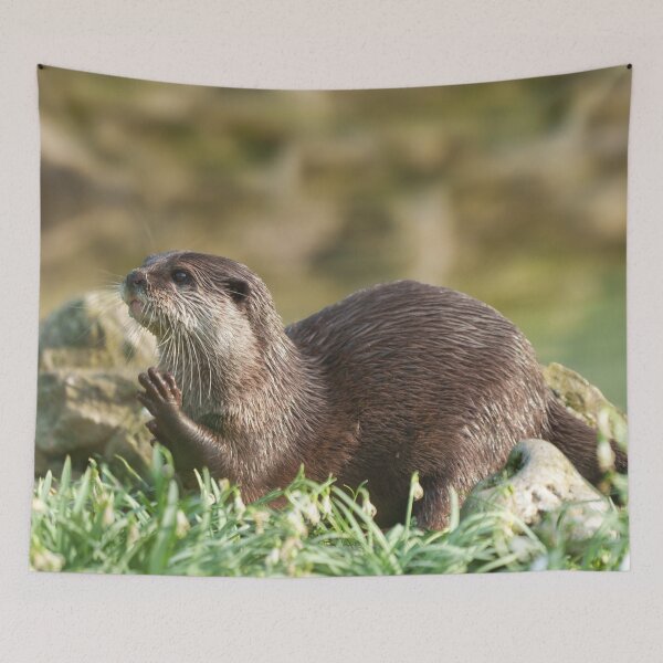 Item preview, Otter Raising Paw designed and sold by rawshutterbug.