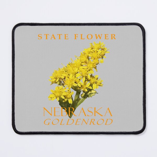 Item preview, Nebraska Territory Flower Soldiago gigantean designed and sold by taiche.