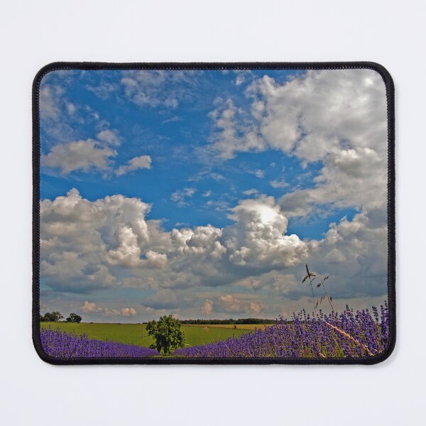 Item preview, Lavender Field Purple Flowers Cotswolds England designed and sold by AndyEvansPhotos.