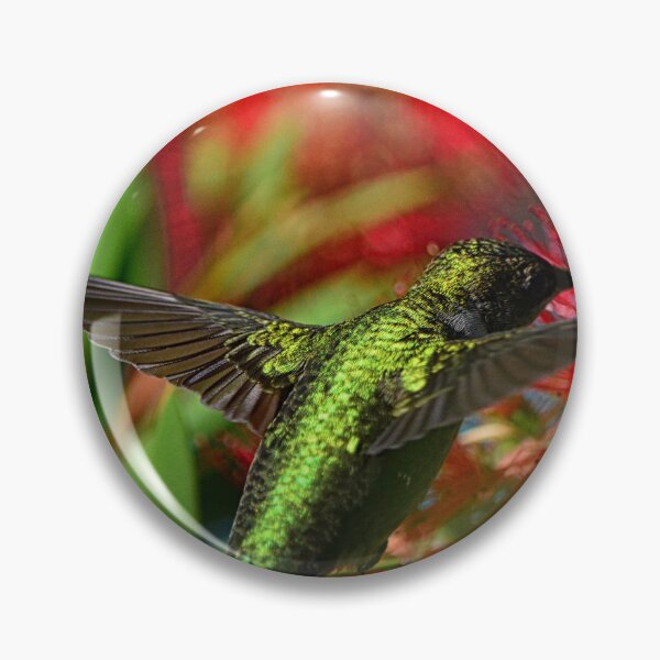 Item preview, Hummingbird And Bottlebrush designed and sold by LisaWootenPhoto.