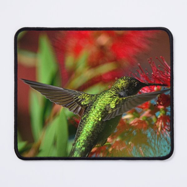 Item preview, Hummingbird And Bottlebrush designed and sold by LisaWootenPhoto.
