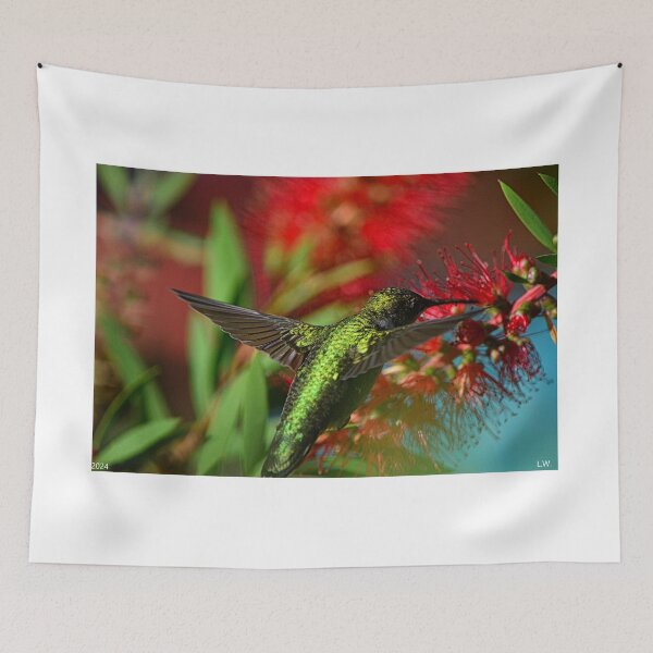 Item preview, Hummingbird And Bottlebrush designed and sold by LisaWootenPhoto.