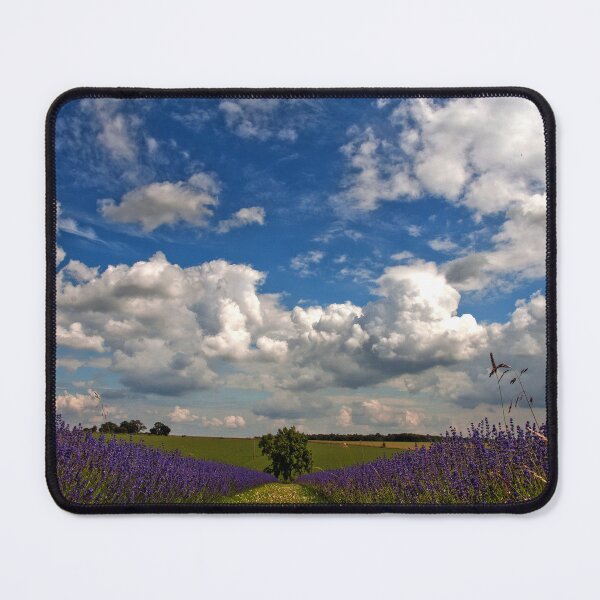 Item preview, Lavender Field Purple Flowers Cotswolds England designed and sold by AndyEvansPhotos.