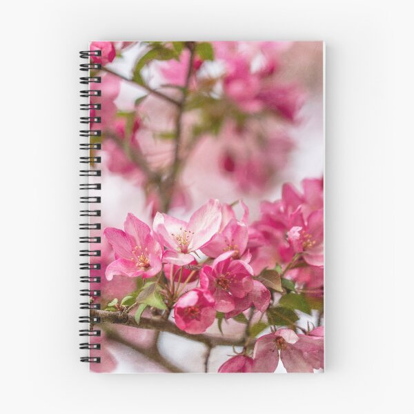 Artikelvorschau, Leuchtend rosa Holzapfelblüten entworfen und verkauft von Brooke T Ryan Photographic Art.