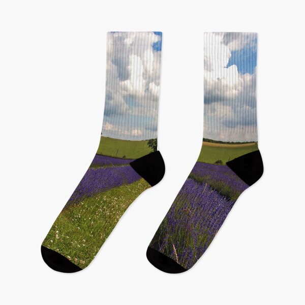Item preview, Lavender Field Purple Flowers Cotswolds England designed and sold by AndyEvansPhotos.