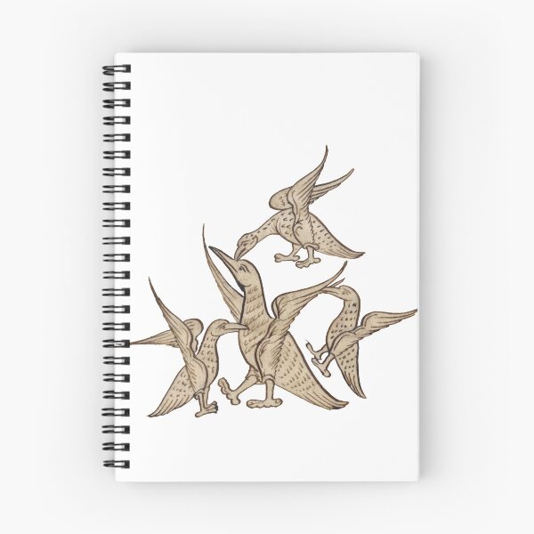 Item preview, Medieval illustration of birds fighting designed and sold by IllmadeErrant.