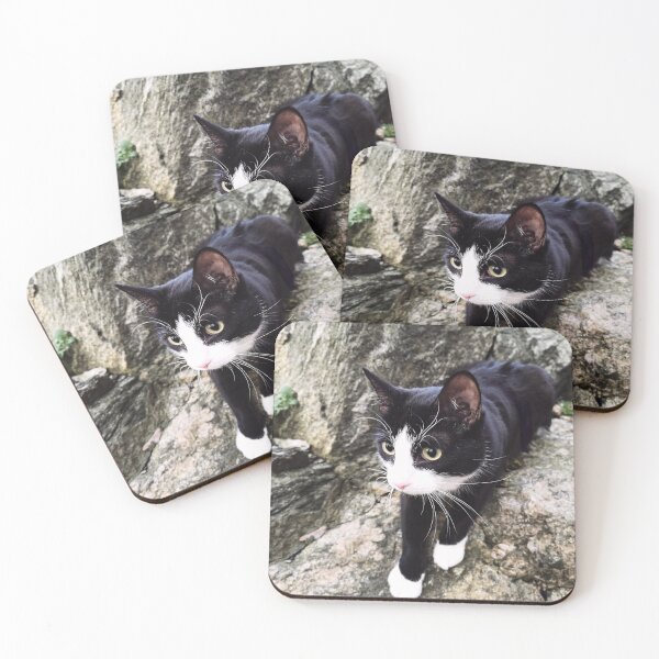 Item preview, Wildcat designed and sold by Flippson.