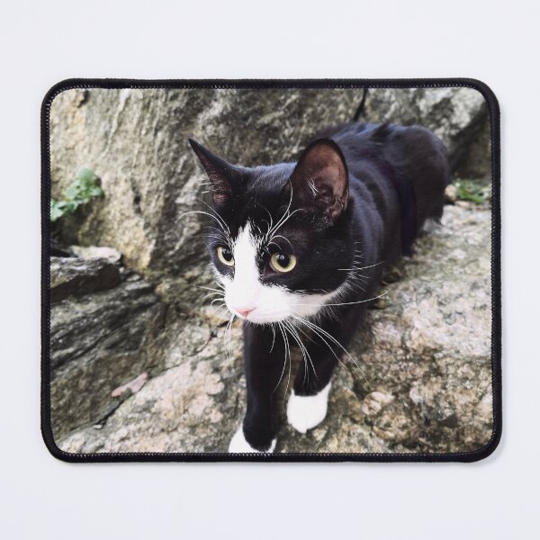 Item preview, Wildcat designed and sold by Flippson.