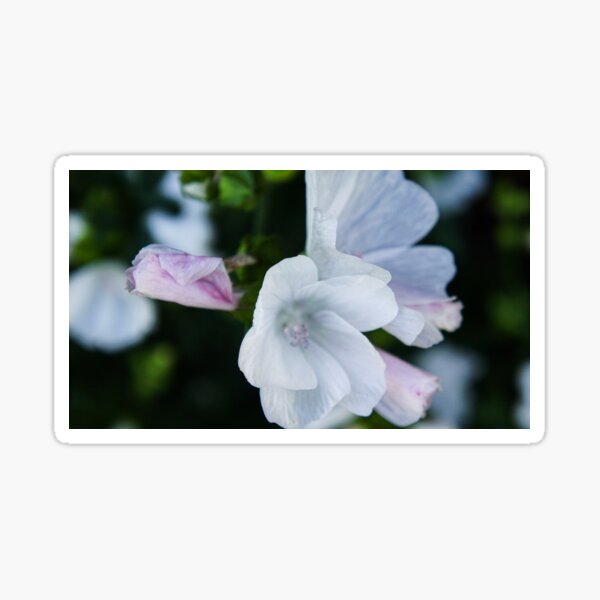 Delicate Summer Blooms Sticker