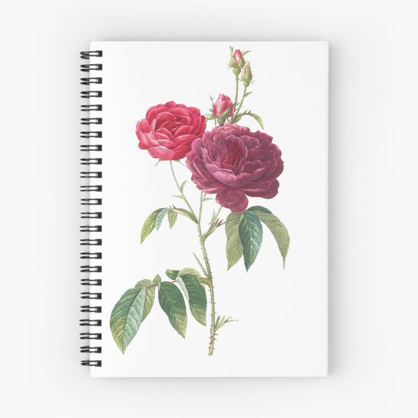 Item preview, Deep Crimson and Scarlet Rose Botanical designed and sold by Denny-Danny.