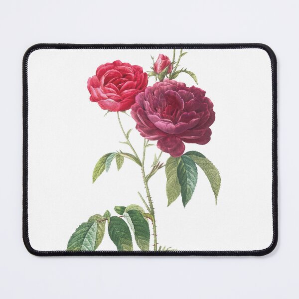 Item preview, Deep Crimson and Scarlet Rose Botanical designed and sold by Denny-Danny.