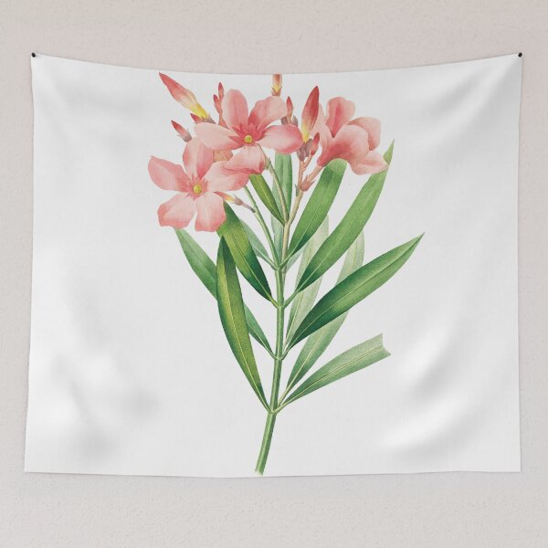Item preview, Soft Pink Oleander Blossom designed and sold by Denny-Danny.