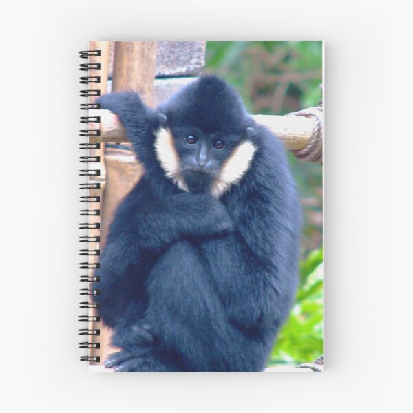 Item preview, Monkey Business designed and sold by Lana Magnolia.