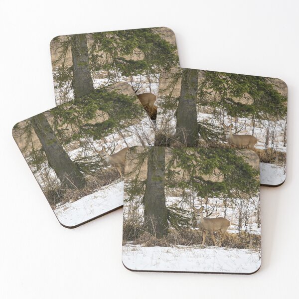 Item preview, Under the spruce. Roe deer designed and sold by Jouko Lehto Photography.