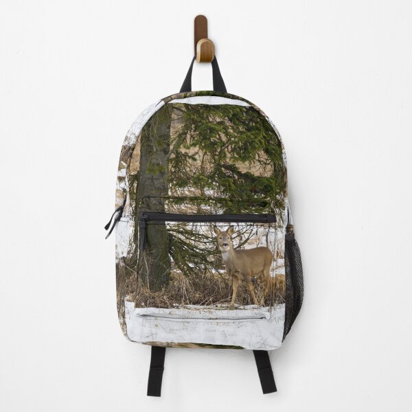Item preview, Under the spruce. Roe deer designed and sold by Jouko Lehto Photography.