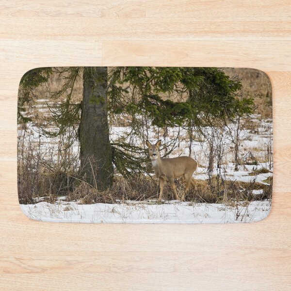 Item preview, Under the spruce. Roe deer designed and sold by Jouko Lehto Photography.
