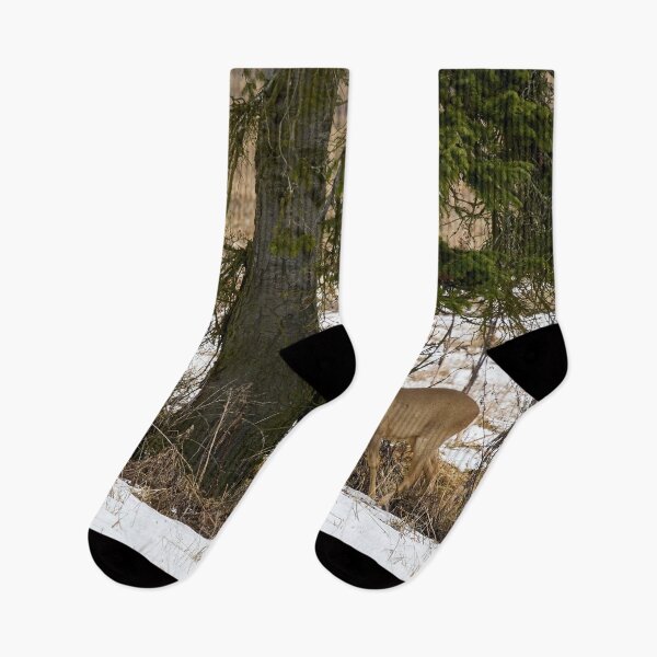 Item preview, Under the spruce. Roe deer designed and sold by Jouko Lehto Photography.