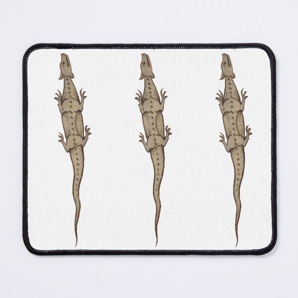 Item preview, Medieval illustration of a lizard designed and sold by IllmadeErrant.