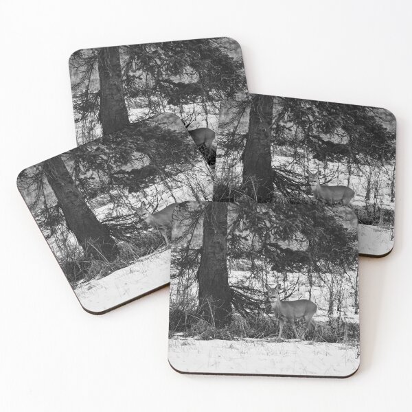 Item preview, Under the spruce. Roe deer bw designed and sold by Jouko Lehto Photography.