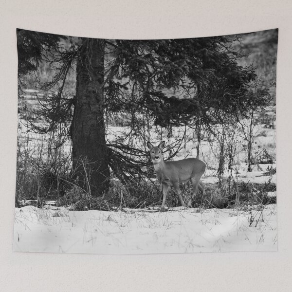 Item preview, Under the spruce. Roe deer bw designed and sold by Jouko Lehto Photography.
