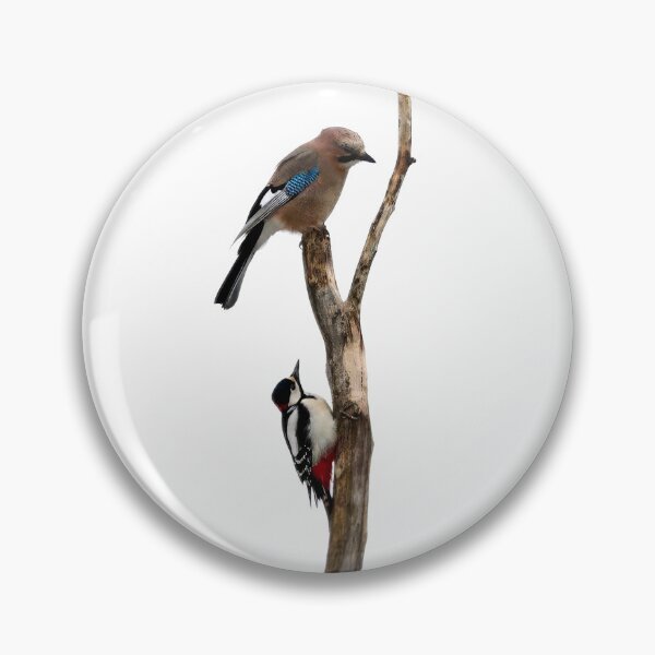 Item preview, Short story about a jay and a woodpecker designed and sold by Jouko Lehto Photography.