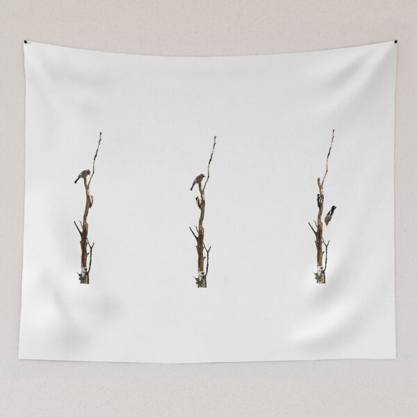 Item preview, Short story about a jay and a woodpecker designed and sold by Jouko Lehto Photography.