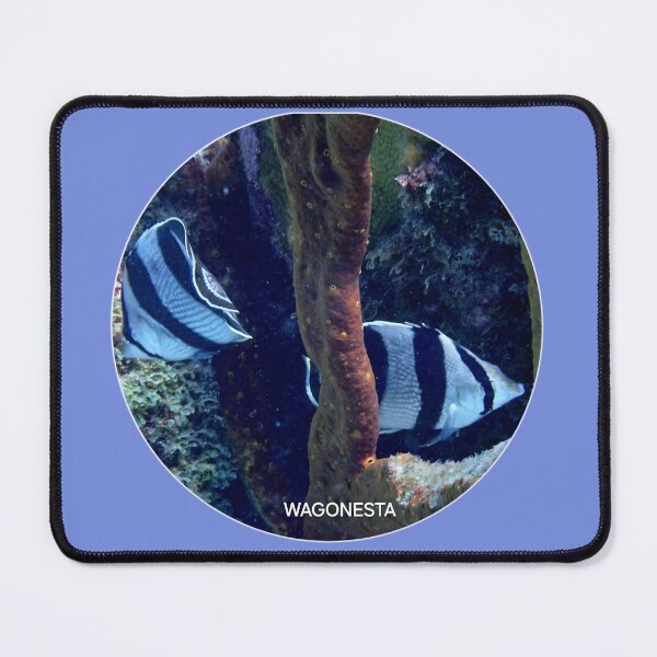 Item preview, Underwater - Banded Butterfly Fish by Wagonesta designed and sold by Wagonesta.