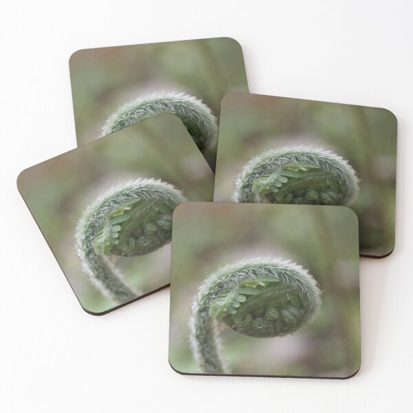 Item preview, Young Spring Fiddlehead designed and sold by WolfNoodles.