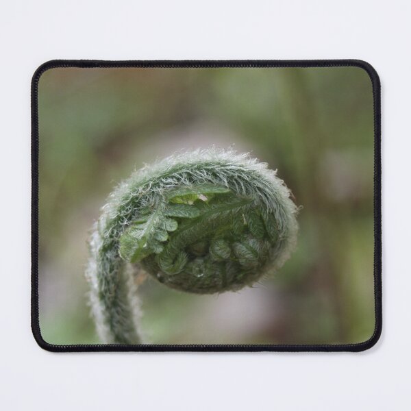 Item preview, Young Spring Fiddlehead designed and sold by WolfNoodles.