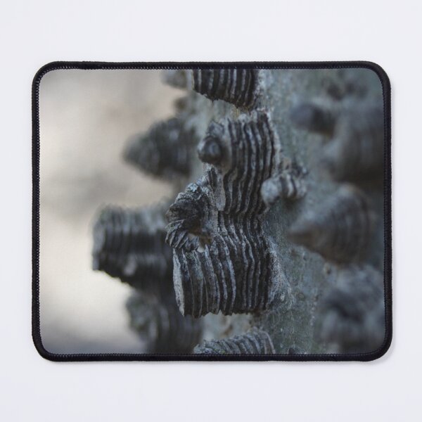 Item preview, Sugarberry Tree Bark designed and sold by WolfNoodles.