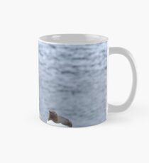 Bridled' Guillemots, Isle of May, Scotland Mug