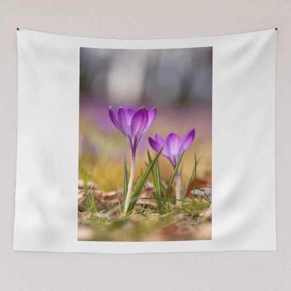 Item preview, Spring flowers - Crocuses designed and sold by Catrinann.