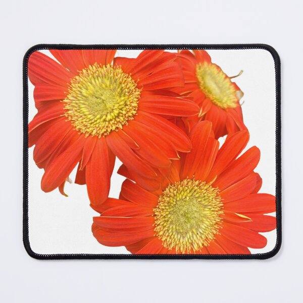 Item preview, Orange daisy designed and sold by Lauracolleen3.