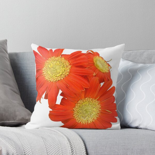 Item preview, Orange daisy  designed and sold by Lauracolleen3.