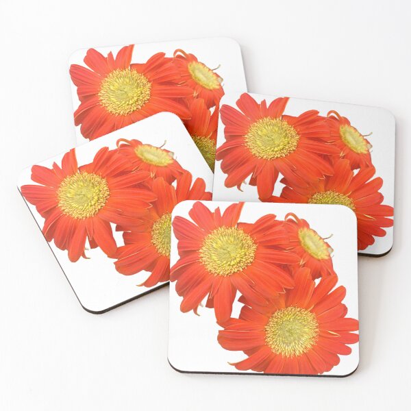 Item preview, Orange daisy  designed and sold by Lauracolleen3.